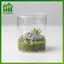 SWEET 3 / 4 / 8 Chiếc Thực Tế Mini Fossil Model Micro Phong Cảnh Để Bàn Trang Trí Đồ Trang Trí, Nhà, Bàn Cát / Cây Cảnh / Đạo Cụ Chụp Ảnh n