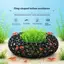 3D In Hình Vòng Hình Bể Cá Tôm Nơi Trú ẩn Nhiều Mặt Rỗng Hang Có Chức Năng Trồng Đồ Trang Trí Aqaurium