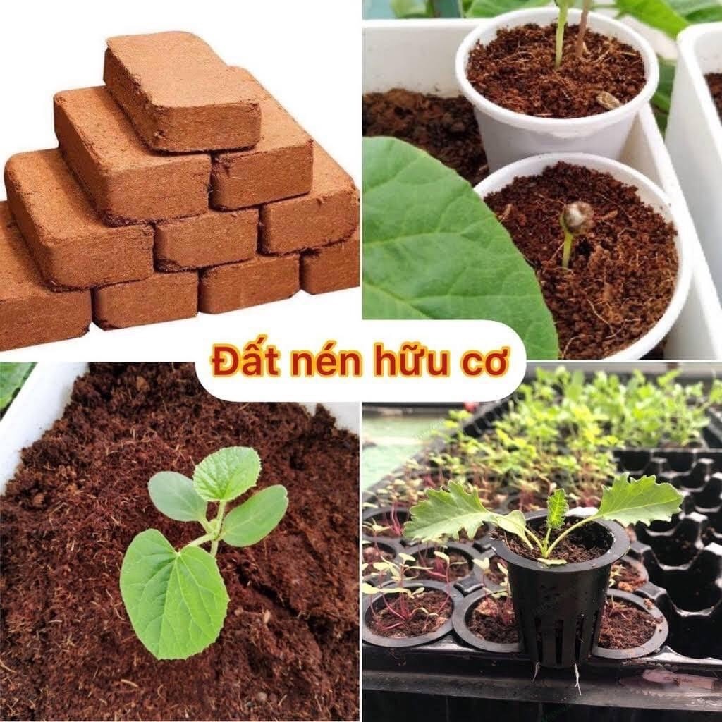 Mùn dừa đã xử lý ép bánh 600gram, đất hữu cơ trồng cây, mùn dừa trồng rau mầm, mùn dừa ươm hạt giống