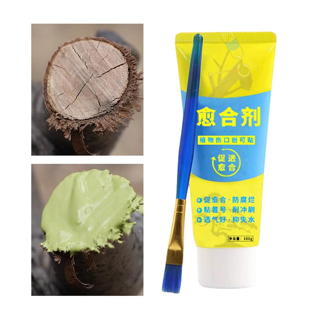 Tree Pruning Sealer Bonsai Tree Pruning Sealer Agent 100g Weatherproof Paste with Brush Trunk Dressing greiwe2vn