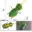 Mô phỏng xuyên biên giới cho trẻ em Mô hình côn trùng hoang dã Stifler Leaf Back Mantis Leaf Mantis Tricky Toy Đồ trang trí nhận thức Chiều cao 2cm