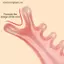 VFZ Body Meridian Massageb Nhựa Năm Răng Rộng Châm Cứu Trị Liệu Tuần Hoàn Máu Chống Tĩnh Điện Mịn Tóc OTE