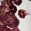 Ooolala Phong Cách Retro Hoa Pansy Đồ Trang Trí Handmade DIY Làm Đẹp Móng Tay Keo Quà Tặng