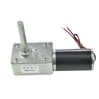 Động Cơ Mô Men Xoắn DC 12 24V 5840-31ZY Hình Chữ D 51MM