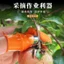 Pinch Rau Lột Chọn Tứ Xuyên Tiêu Picker Ngón Tay Cái Dao Chọn Rau Chọn Tiêu Ngón Tay Cots Móng Tay Agricultur
