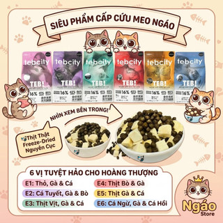 Hạt Cho Mèo TEB City Dòng E 1,5kg Thức Ăn Không Ngũ Cốc Mix Topping Gà Sấy Ngáo Petshop