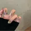 Đeo Móng Tay Champagne Làm Trắng Kim Cương Sang Trọng Handmade Mắt Mèo Miếng Móng Tay 30 Miếng