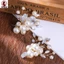 2 Chiếc Kẹp Giày Kim Cương Giả Ngọc Trai Handmade Cho Nữ Trang Trí Hợp Kim Thanh Lịch