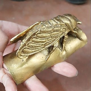 Ve Sầu Hộ Mệnh Trường Tồn Vật Phẩm Phong Thuỷ