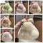 Móc khóa lông thỏ ZENZON, Móc khóa thỏ lông tơ dễ thương, Túi thời trang Charm Móc khóa hợp kim Vòng chìa khóa thỏ sang trọng Móc chìa khóa ô tô