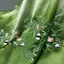 Tunan Ban Đầu Gấu Trúc Tre Thêu Vải Cổ Hanfu Xếp Ly Váy Trẻ Em Mặc Công Nghiệp Nặng Thêu diy Vải 6