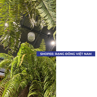 Đèn led trồng cây Rạng Đông 50W,quang hợp trong nhà, kích thích tăng trưởng model:TR140N1/50W