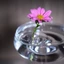 Giá đỡ sắp xếp hoa nổi ITRUMPET, Giá đỡ trưng bày hoa nổi DIY, Hộp đựng hoa thủy canh Dụng cụ sắp xếp hoa nổi Bát hoa nổi