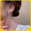 1 Cặp Mới Đơn Giản Tính Khí Vòng Tròn Bông Tai Ngọc Trai Thời Trang Nhỏ Đa Năng Bông Tai Nữ Trang Sức