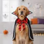 QEARY Chó Halloween Cape, Cổ Mềm Mại Thú Cưng Bát Áo Choàng, Trang Phục Hóa Trang Cho Chó Con Hai Kích Cỡ Nhẹ Hai Màu Mèo Phù Thủy Áo choàng Ảnh Đạo Cụ