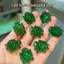 ECK Mini Bóng Trong Suốt Rùa Xanh Các Bức Tượng Nhỏ Dễ Thương Nhựa Tượng Cho DIY Trang Sức Trang Trí Bàn Làm Việc Nhà Trang Trí Rùa Người Yêu Quà Tặng HOT