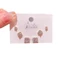 Vuông Bạc Kim Nữ Bông Tai Zircon Bông Tai Dễ Thương 2026-Bộ Bông Tai Kết Hợp Bộ Sáu Mini Nhỏ