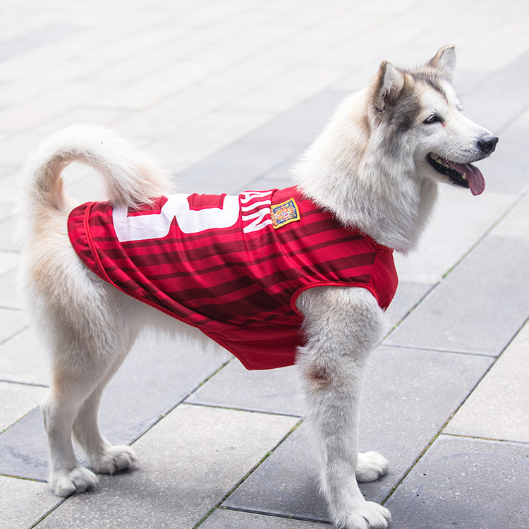 【Ready Stock】 Spring and Summer Large, Medium and Small Dogs Golden Retriever Dog Clothing Cat Clothes Pet Cat Vest World Cup Dog Clothes Supplies d4jq