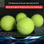 Quả bóng chơi thú cưng ROLY, Quả bóng Tennis không độc hại có độ đàn hồi, Cuộc thi bóng thực hành bền bỉ