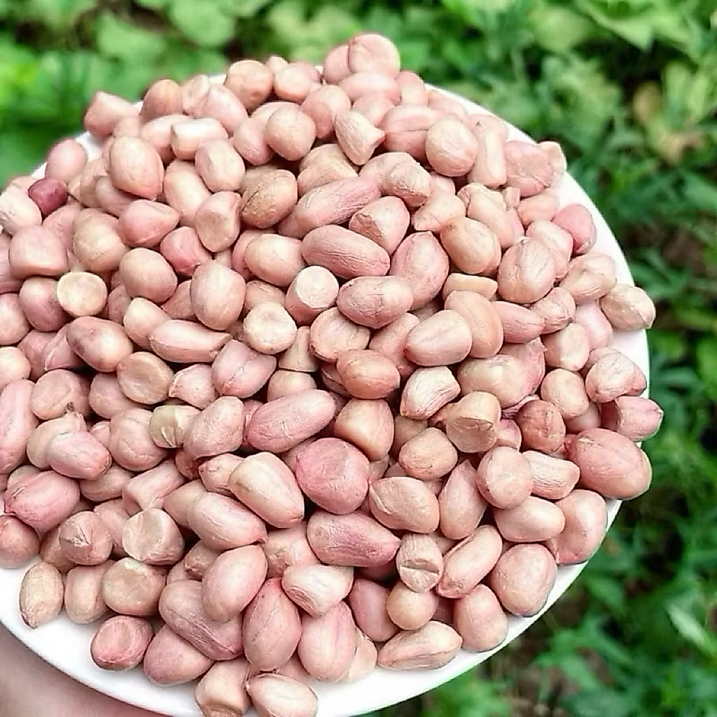 ( 1Kg) Lạc trắng sống, hàng mới