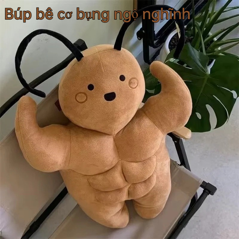 Gấu Bông độc Lạ, 35/55cmBúp Bê Gián, Tiểu Cường Sáu Múi Nhồi Bông Hài Hước, Đồ Chơi Sáng Tạo