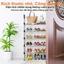 𝐅𝐔𝐑𝐍𝐈𝐒𝐇 𝐅𝐈𝐄𝐒𝐓𝐀 Kệ Để Giày Nhiều Lớp, Giá Để Giày Đa Năng 3~8 Tầng Tủ Giày Dép Dễ Dàng Cài Đặt Kệ Để Giầy Dép