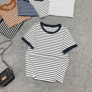 SET Đồ Bộ Bigsize Nữ Áo Thun Kẻ Sọc Kèm Quần Suông Ống Rộng Cho Chubby A285 Q564