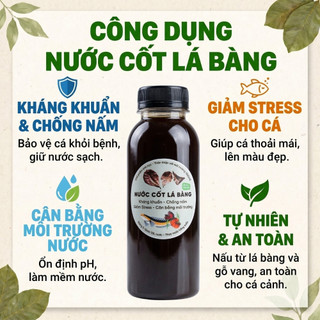 Nước Cốt Lá Bàng Đậm Đặc X3 - Lọc Nano Siêu Trong - Dưỡng Cá Betta, Cá Lóc, Giảm Stress