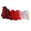 Quạt Khiêu Vũ Cổ Điển Dance River of Life Yangko Wanjiang Fan Dance Silk Red Crimson Gradient Long Silk Fan