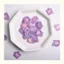 Ooolala Màu Chính Tự Nhiên Đa Chân Hydrangea Bấm Hoa Epoxy Ốp Điện Thoại diy Hoa Thật Coaster Bấm Hoa Khung Ảnh Filler