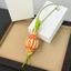 Cổ Điển Da Bò Raffia Hành Mặt Dây Chuyền ins Bán Chạy Hợp Thời Trang Nhẹ Sang Trọng Túi Phụ Kiện