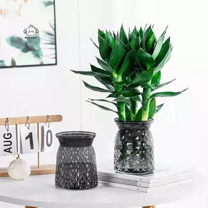 Maybest Mini Tự Tưới Hoa Bể Cá Nhựa Trong Suốt Chậu Cây Tự Tưới Cây Bình Hoa Để Trang Trí Nhà Cửa {VN}