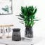 Maybest Mini Tự Tưới Hoa Bể Cá Nhựa Trong Suốt Chậu Cây Tự Tưới Cây Bình Hoa Để Trang Trí Nhà Cửa {VN}