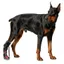 QEARY Corrective Dog Shoes, Nâng Ngón Chân Thoáng Khí Thả Chân Nẹp Cho Chó, Chống Bẩn Có Thể Điều Chỉnh Với Cuộn Dây Chống Mài Mòn Cho Chó Giày Đi Bộ