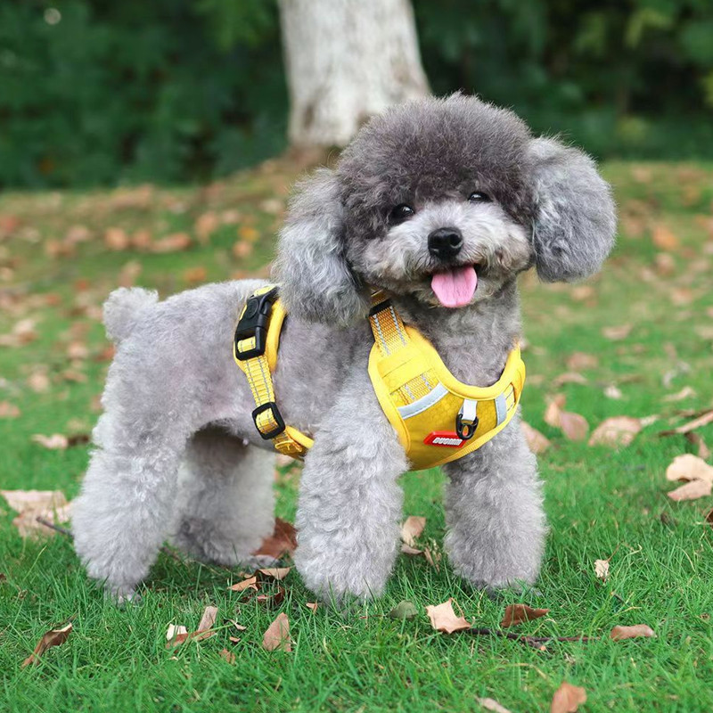 [Pet-Eleven] Dây đeo ngực thú cưng di động Tay cầm bảo vệ khẩn cấp Dây xích chó cỡ trung nhỏ Áo Vest cho chó kiểu dáng Ngực Dây xích chó có thể điều chỉnh phổ biến cho chó mèo Chó Bichon Teddy Dây đeo thú cưng Dây xích chó