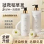 Sữa Tắm Nước Hoa Camellia Sữa Tắm Nước Hoa Lâu Dài Rửa Toàn Thân Bộ Bọt Kiểm Soát Dầu Mite Loại Bỏ Trà Trắng Nước Hoa Tắm Kem 8UQF