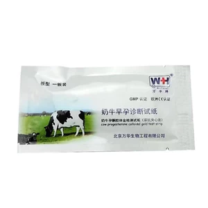 Que thử thai cho trâu bò tỉ lệ chuẩn xác cực kỳ cao