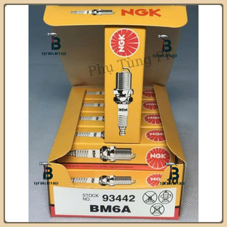Bugi 2 thì, 4 thì NGK chính hãng cho máy cắt cỏ, máy cưa