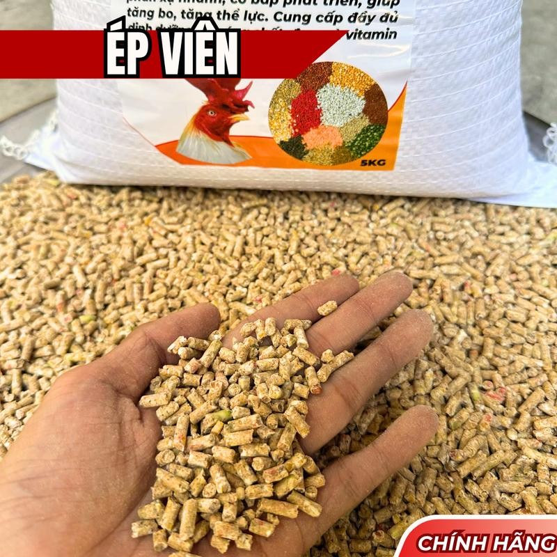 (5kg) Ngũ Cốc Gà Đá Đại Đại Nguyên Hạt  - Tặng Men Sống Cao Tỏi [Hết tháng 5]