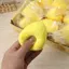 SSVN Cheese Squishies Đồ chơi tăng chậm để giảm căng thẳng Tiện ích Fidget hoàn hảo cho trẻ em và người lớn.