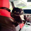 Spike Price Black Cat Doll Hộp Khăn Giấy Vui Vẻ Dễ Thương Mèo Xiêm Sang Trọng Túi Giấy Trang Trí Ô Tô Quà Tặng * * * &