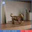 Corgi trên Ván Trượt Trang Trí Thủ Công Trượt Ván Chó Tượng Phong Cách Vintage Thu Nhỏ Chiêm Tinh Chó Cho Bàn Làm Việc Văn Phòng