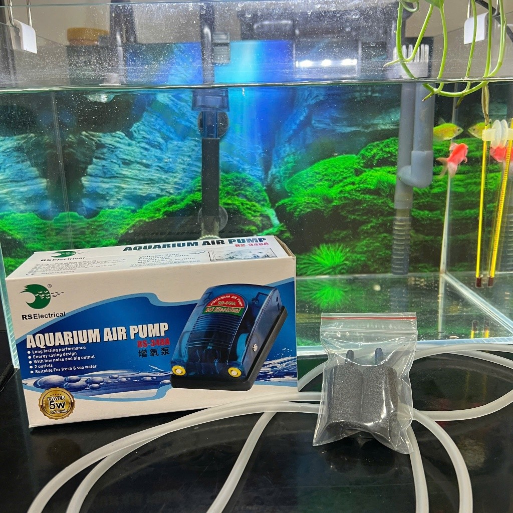 Máy Sủi Khí Oxy 2 Vòi RS 348A tặng kèm 2 bộ dây quả sủi (Máy sục khí oxy dành cho bể cá cảnh)
