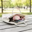 SRVN Dễ Thương Bánh Bao Bóp Chậm Fidget Đồ Chơi Cảm Giác Kawaii Steam Bun Giảm Căng Thẳng Bóp Đồ Chơi Cho Trẻ Em Người Lớn Quà Tặng.