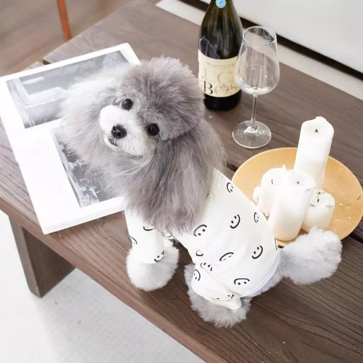 Quần áo cho chó mèo, đồ ngủ ấm áp mùa thu đông, đồ mặc ở nhà, quần áo bốn chân có lớp lông cừu dành cho chó con Teddy
