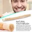 Que chăm sóc răng miệng CATMALLER88, Bàn chải đánh răng Miswak mềm có thể phân hủy sinh học, Tự nhiên Không cần kem đánh răng Cần nhai truyền thống Chăm sóc răng miệng