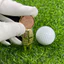 GOLF Green Fork Phong cách mới Đồ dùng GOLF Sửa chữa kim loại di động có đánh dấu từ tính