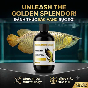 Vitamin M2 Hỗ Trợ Lên Màu Đẹp Pom Cá Rồng Bối Và Kim Long Malaysia (Chai 500ml)
