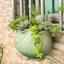 1 / 2 / 5 Chiếc Cây Nhỏ Hỗ Trợ Chân Đế Hỗ Trợ Cây Ếch, Khung Hình Ếch Để Trang Trí Ban Công Và Dễ Dàng Bảo Quản