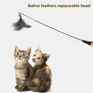 Đồ chơi mèo CFA Sai Lớp Cat Tease Stick Spot Feather Đầu thay thế